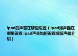 ipad的声音在哪里设置（ipad扬声器在哪里设置 ipad声音如何设置成扬声器介绍）