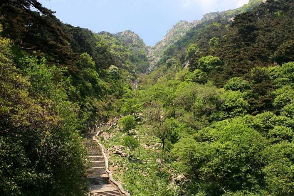 唐诗闲读：“会当凌绝顶，一览众山小”