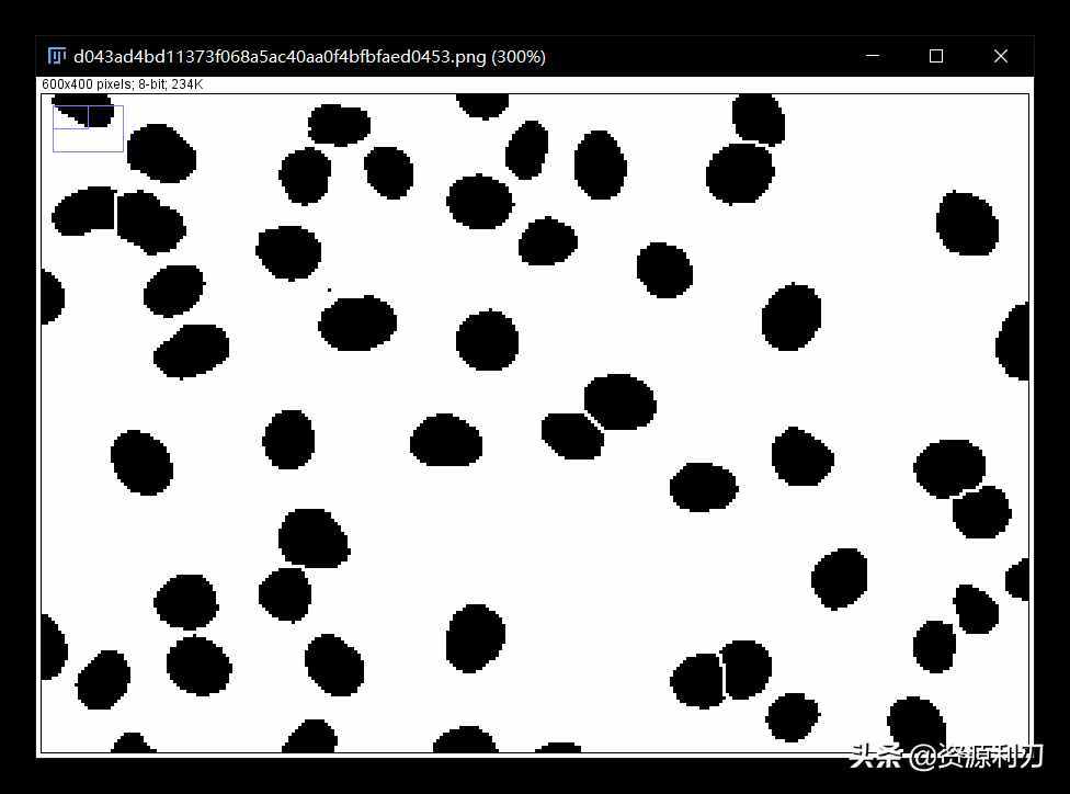 ImageJ使用教程之自动细胞计数篇