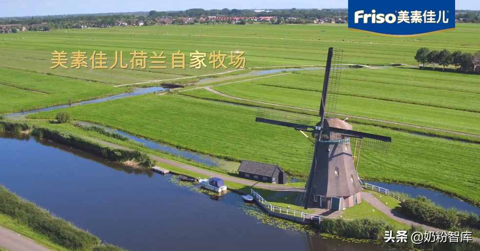 美素佳儿奶粉深度评测
