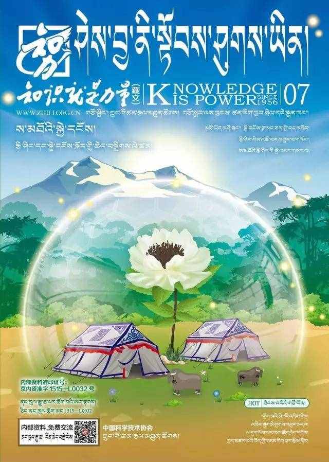 如何鉴别冬虫夏草的真假？
