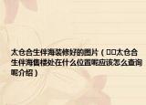 太仓合生伴海装修好的图片（﻿﻿太仓合生伴海售楼处在什么位置呢应该怎么查询呢介绍）