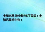 金鳞岂是,池中物?布丁果酱（金鳞岂是池中物）
