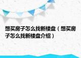 想买房子怎么找新楼盘（想买房子怎么找新楼盘介绍）