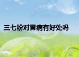 三七粉对胃病有好处吗