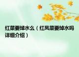 红菜要焯水么（红凤菜要焯水吗详细介绍）