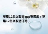 苹果12怎么取消app资源库（苹果12怎么取消订阅）