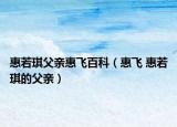 惠若琪父亲惠飞百科（惠飞 惠若琪的父亲）