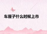 车厘子什么时候上市