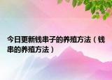 今日更新钱串子的养殖方法（钱串的养殖方法）