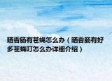 晒香肠有苍蝇怎么办（晒香肠有好多苍蝇叮怎么办详细介绍）