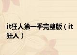 it狂人第一季完整版（it狂人）