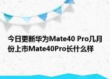 今日更新华为Mate40 Pro几月份上市Mate40Pro长什么样