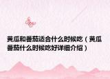 黄瓜和番茄适合什么时候吃（黄瓜番茄什么时候吃好详细介绍）