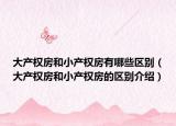 大产权房和小产权房有哪些区别（大产权房和小产权房的区别介绍）