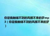 你是我触碰不到的风醒不来的梦mp3（你是我触碰不到的风醒不来的梦）