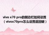 vivo x70 pro的侧边栏如何设置（vivox70pro怎么设置返回键）