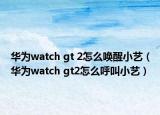 华为watch gt 2怎么唤醒小艺（华为watch gt2怎么呼叫小艺）