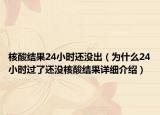 核酸结果24小时还没出（为什么24小时过了还没核酸结果详细介绍）
