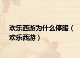 欢乐西游为什么停服（欢乐西游）
