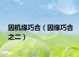 因机缘巧合（因缘巧合之二）