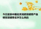 今日更新中国名茶洞庭碧螺春产自哪里碧螺春名字怎么来的
