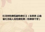 红河州检察院副检察长王（张思思 云南省红河县人民检察院第二检察部干警）