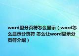 word里分页符怎么显示（word怎么显示分页符 怎么让word显示分页符介绍）