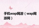 手机wap网游（wap网游网）