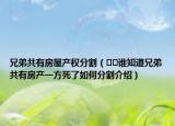 兄弟共有房屋产权分割（﻿﻿谁知道兄弟共有房产一方死了如何分割介绍）