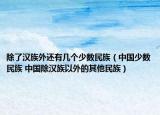 除了汉族外还有几个少数民族（中国少数民族 中国除汉族以外的其他民族）