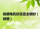 硅钢电机好还是全铜好（硅钢）