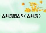 古井贡酒古5（古井贡）