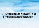 广东鸿图南通压铸有限公司好不好（广东鸿图南通压铸有限公司）