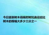 今日更新树木栽植时树坑直径应比树木的根幅大多少三分之一