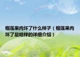 榴莲果肉坏了什么样子（榴莲果肉坏了是啥样的详细介绍）