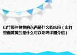 山竹那些黄黄的东西是什么能吃吗（山竹里面黄黄的是什么可以吃吗详细介绍）