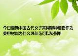 今日更新中国古代女子常用哪种植物作为美甲材料为什么凤仙花可以染指甲