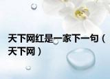 天下网红是一家下一句（天下网）