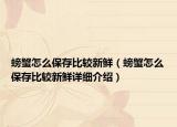 螃蟹怎么保存比较新鲜（螃蟹怎么保存比较新鲜详细介绍）