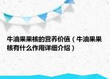 牛油果果核的营养价值（牛油果果核有什么作用详细介绍）