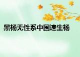 黑杨无性系中国速生杨