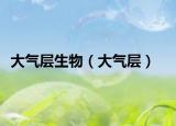 大气层生物（大气层）