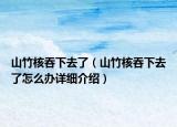 山竹核吞下去了（山竹核吞下去了怎么办详细介绍）