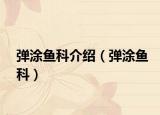 弹涂鱼科介绍（弹涂鱼科）