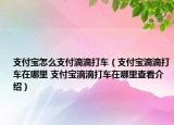 支付宝怎么支付滴滴打车（支付宝滴滴打车在哪里 支付宝滴滴打车在哪里查看介绍）