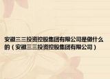 安徽三三投资控股集团有限公司是做什么的（安徽三三投资控股集团有限公司）