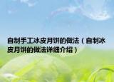 自制手工冰皮月饼的做法（自制冰皮月饼的做法详细介绍）