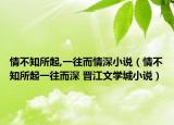 情不知所起,一往而情深小说（情不知所起一往而深 晋江文学城小说）