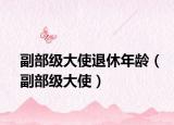 副部级大使退休年龄（副部级大使）